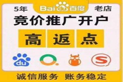 案例分享：SEM百度竞价助力电商转化率提升